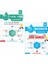 Nartest Yayınevi 5. Sınıf Defter Tadında Tane Tane Matematik ve Nartest Yayınevi Mavi Matematik Soru Bankası 1