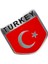Türkiye Bayrağı Tasarımlı Alüminyum Arma Sticker Etiket 1