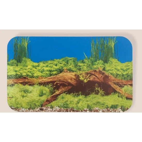 Angora Akvaryum Arkası Plastik Poster Çift Yönlü 50 cm x 50 cm