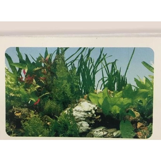 Angora Akvaryum Arkası Iki Yönlü Plastik Poster 150 cm x 50 cm
