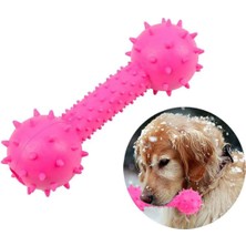 Mixpet Dikenli Dumbell Diş Kaşıyıcı Köpek Oyuncağı 5X14 cm