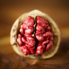 Anamur Naturel Tüplü Aşılı Özel Üretim Red Walnut Kırmızı Ceviz Fidanı