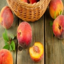 Anamur Naturel Tüplü Aşılı Tam Bodur Spring Crest Şeftali Fidanı