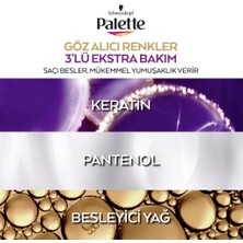 Schwarzkopf Palette Göz Alıcı Renkler 10-1 Küllü Açık Sarı Saç Boyası