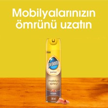 Pronto Mobilya Spreyi, Klasik, 300 ml x 12 Adet