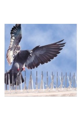 Repel Plastik Kuş Konmaz Dikeni - Kuş Kondurmaz Tel Diken 10'lu Paket