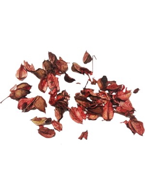 Hobizubi Gül Kurusu - Bordo