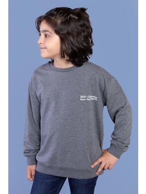 Toontoy Kids Erkek Çocuk Baskılı Sweatshirt