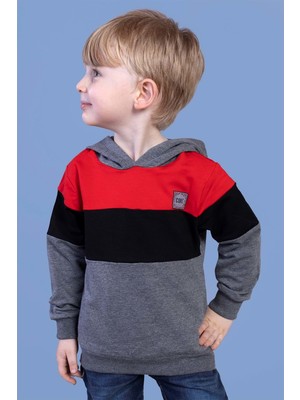 Toontoy Kids Erkek Çocuk Kapüşonlu Garni Detaylı Sweatshirt