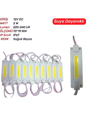 Ice Js-Cob-Soğuk Beyaz Modül LED 6ledli 20AD