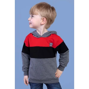 Toontoy Kids Erkek Çocuk Kapüşonlu Garni Detaylı Sweatshirt