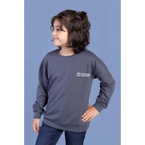 Toontoy Kids Erkek Çocuk Baskılı Sweatshirt