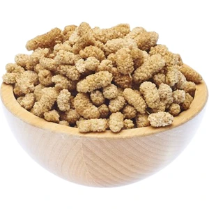 Malatya Pütürge Dut Kurusu (1 kg)