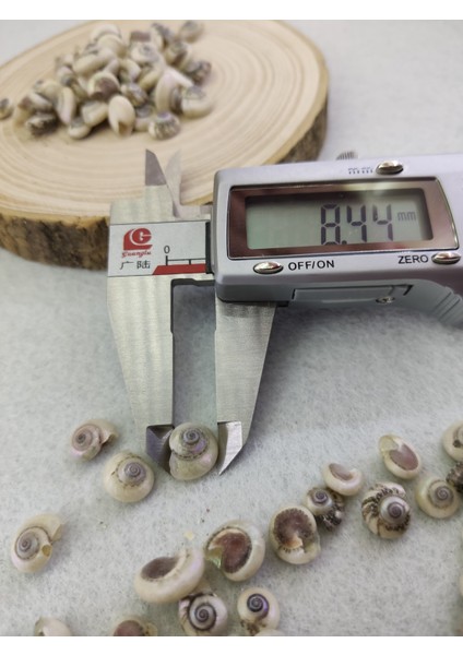 Salyangoz Kabuğu 8.4 mm ( 25 gr ) fiyatları
