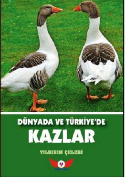 Dünyada ve Türkiye’de Kazlar