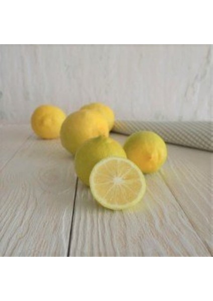 Tüplü Aşılı Çok Tatlı Şeker Limonu Fidanı-Meyve Verme Yaşında