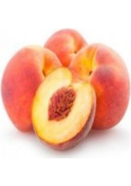 Tüplü Aşılı Yarıbodur Tatlı Meyveli Şentürk Şeftali Fidanı