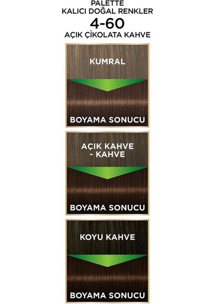 Schwarzkopf  Palette Saç Boyası & Kalıcı Doğal Renkler Colors 4/60 Altın Kahve