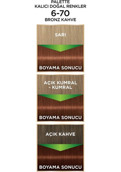 Schwarzkopf Palette Kalıcı Doğal Renkler 6-70 Bronz Kahve Saç Boyası