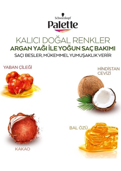 Schwarzkopf Palette Kalıcı Doğal Renkler 5-89 Gece Kızılı Saç Boyası