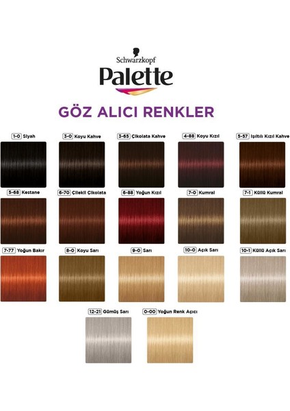 Schwarzkopf Palette Göz Alıcı Renkler 3-65 Çikolata Kahve Saç Boyası