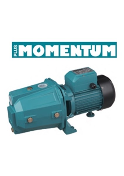 EJM100 1hp 220V Döküm Gövdeli Jet Pompa 3g Sulama