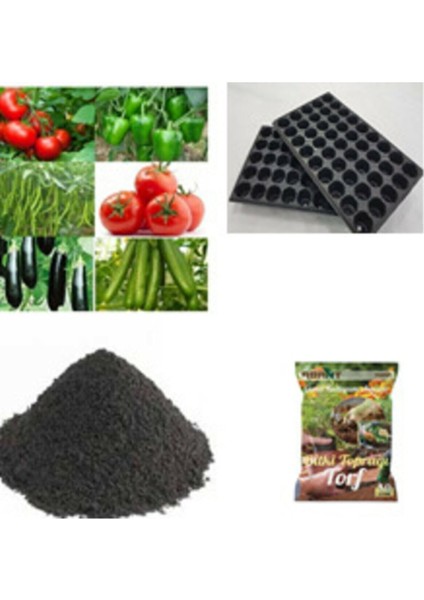Karışık Sebze Tohumu 100 Adet & 10 Lt Toprak & Solucan Gübresi