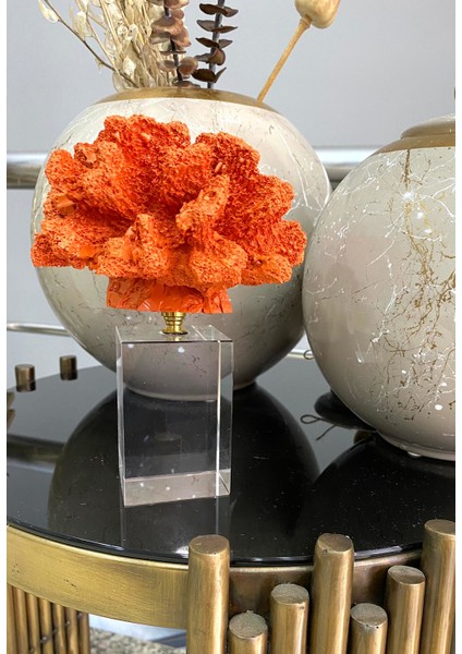 Kristalli Mercan Turuncu Renk fiyatları