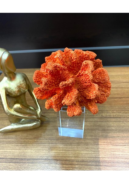 Kristalli Mercan Turuncu Renk modelleri