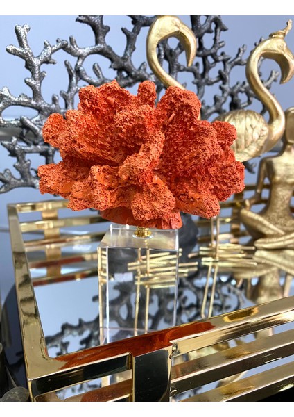 Kristalli Mercan Turuncu Renk fırsatları