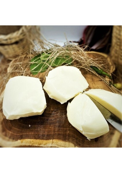 Tam Yağlı Mozzarella Peyniri (500 Gr) fiyatları