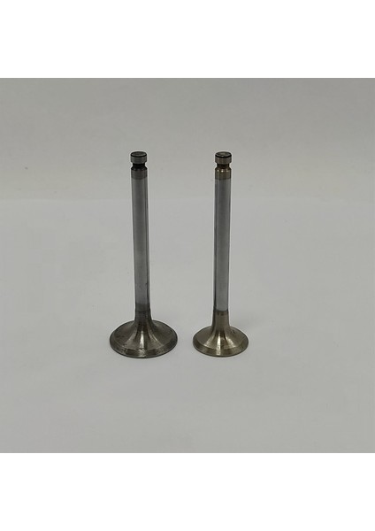 Subap Seti (Em + Eg):Yanmar / 1Gm10 / 2Gm20 / 3Gm30