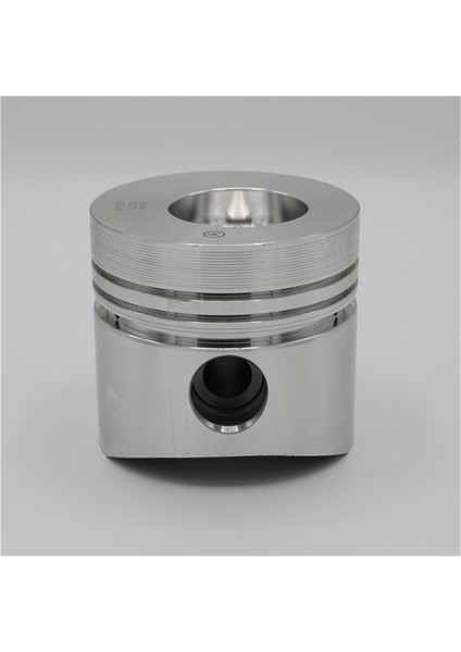 Piston (0.50 - Çap:95.50 mm):Ruggerini - Rd 290