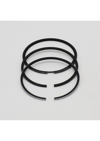 Segman Seti (0.50 , Çap:78.50 mm): Ruggerini, Ry 70