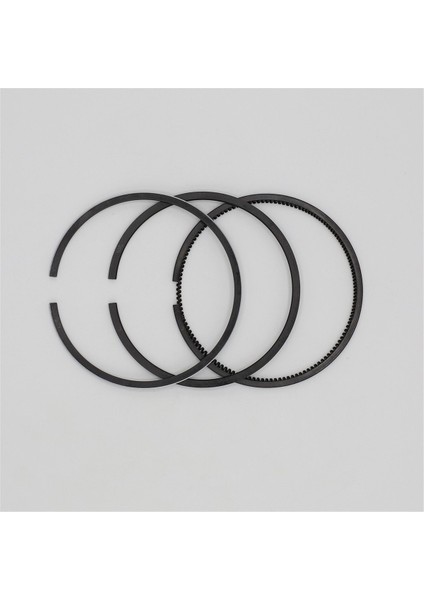 Segman Seti (0.50 , Çap:78.50 mm): Ruggerini, Ry 70 fiyatları