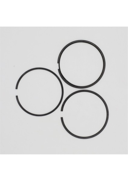 Segman Seti (0.50 , Çap:78.50 mm): Ruggerini, Ry 70 modelleri