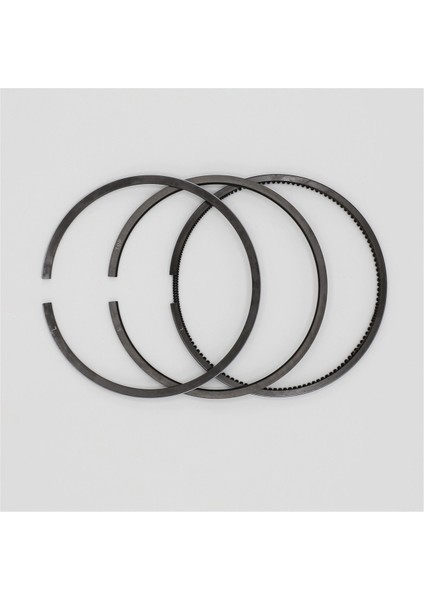 Segman Seti (0.50 , Çap:95.50 mm): Ruggerini / Rd 290 fiyatları