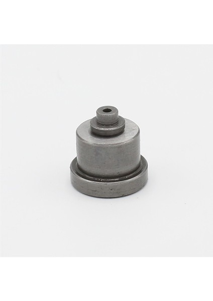 Enjeksiyon Sevk Valfi: Ruggerini / Rd 290