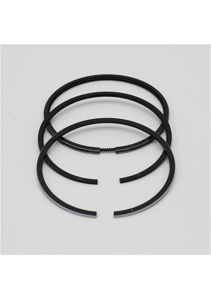 Segman Seti (Std - Çap:90.00 mm): Ruggerini - Rd 210