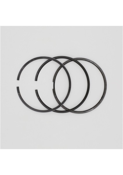 Segman Seti (Std - Çap:90.00 mm): Ruggerini - Rd 210 fiyatları