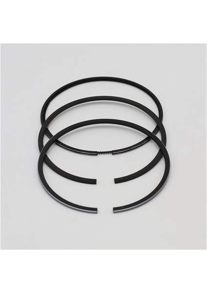 Segman Seti (0.50 - Çap: 86.50 mm): Ruggerini - Ry 110