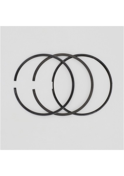 Segman Seti (0.50 - Çap: 86.50 mm): Ruggerini - Ry 110 fiyatları