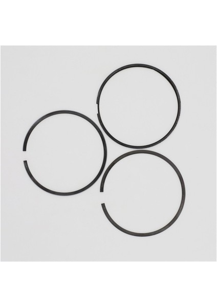 Segman Seti (0.50 - Çap: 86.50 mm): Ruggerini - Ry 110 modelleri