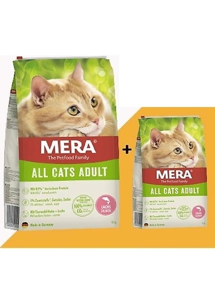 Tahılsız Somonlu Yetişkin Kedi Maması 10 Kg + 2 kg