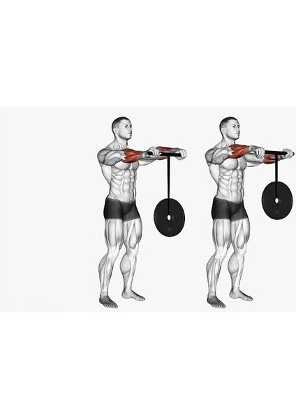 Wrist Roller Profesyonel Bilek Kol Geliştirme Barı modelleri