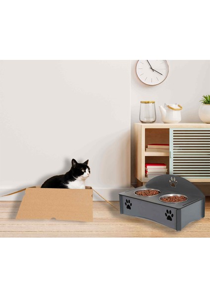 Kedi için Mama ve Su Kabı fırsatları