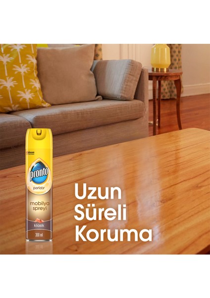 Mobilya Spreyi, Klasik, 300 ml x 12 Adet