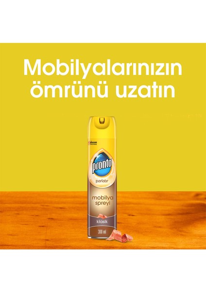 Mobilya Spreyi, Klasik, 300 ml x 12 Adet