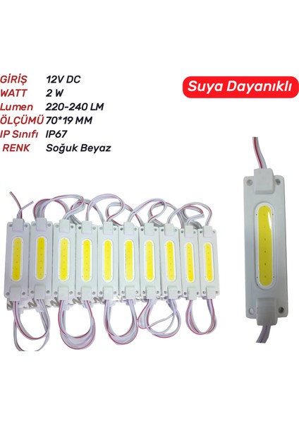 Js-Cob-Soğuk Beyaz Modül LED 6ledli 20AD