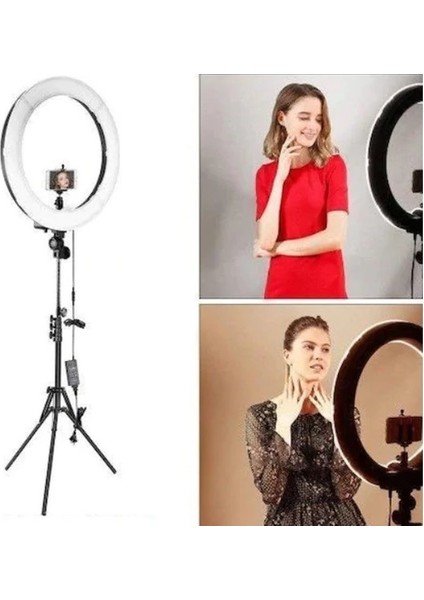 Youtuber LED Tripod Video Selfie Stüdyo Makyaj Işığı 10" Halka Işık